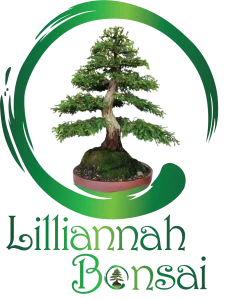 2026-Lilliannah-Bonsai-logo