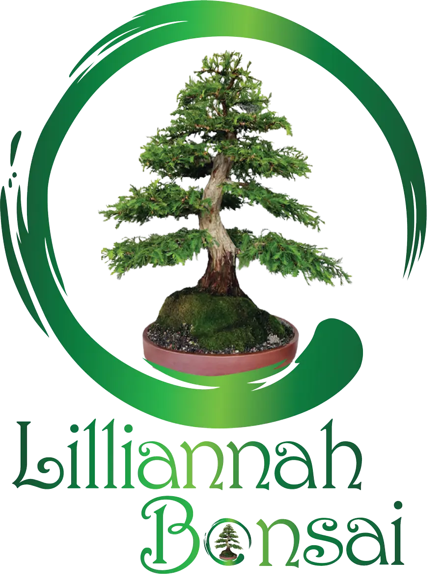 2026-Lilliannah-Bonsai-logo