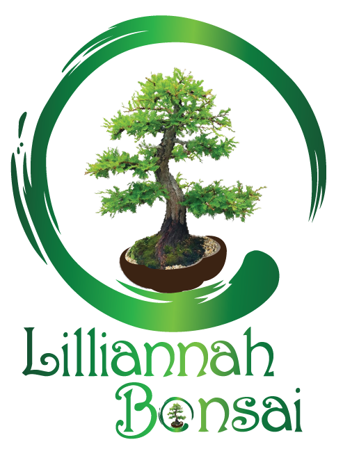 Lilliannah Bonsai logo